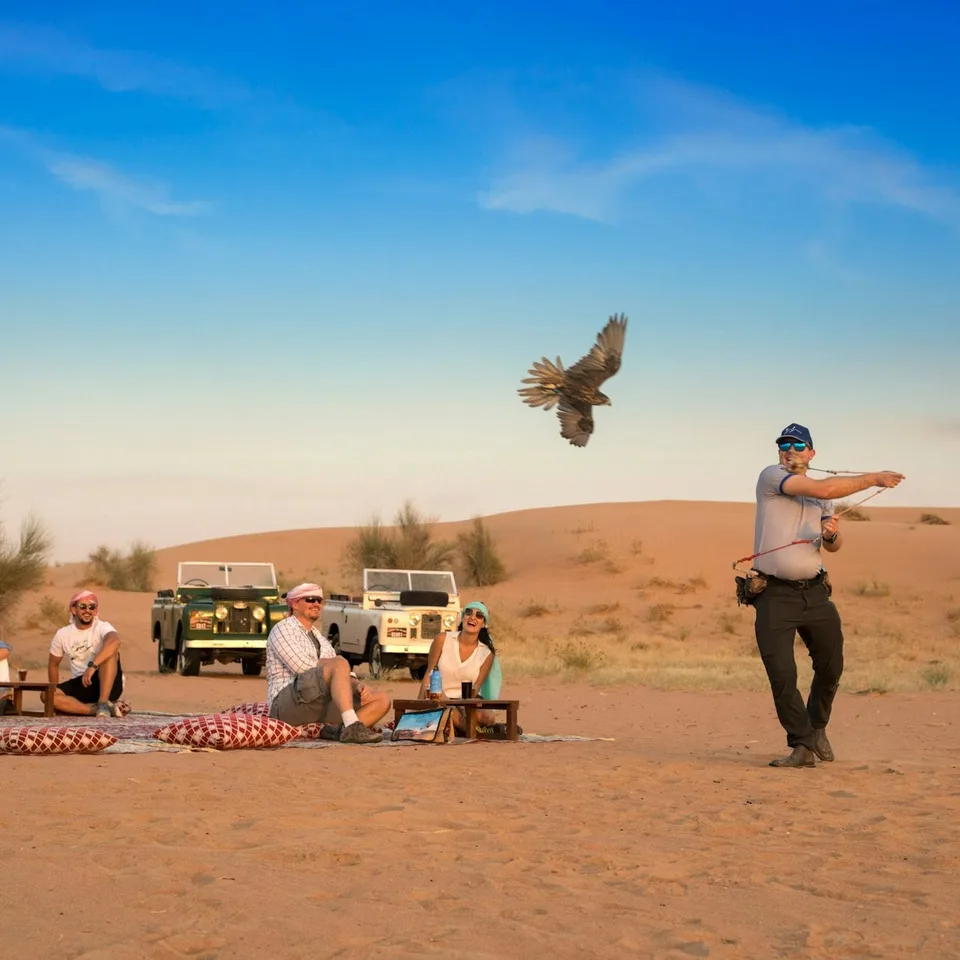 Falconry demonstration beside a vintage desert safari vehicle
